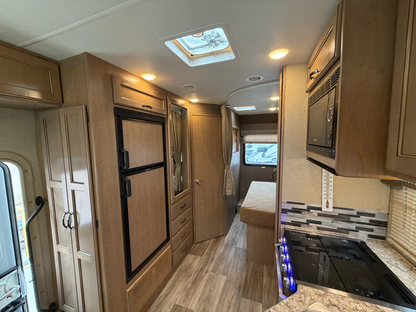 2019 THOR FREEDOM ELITE 26H